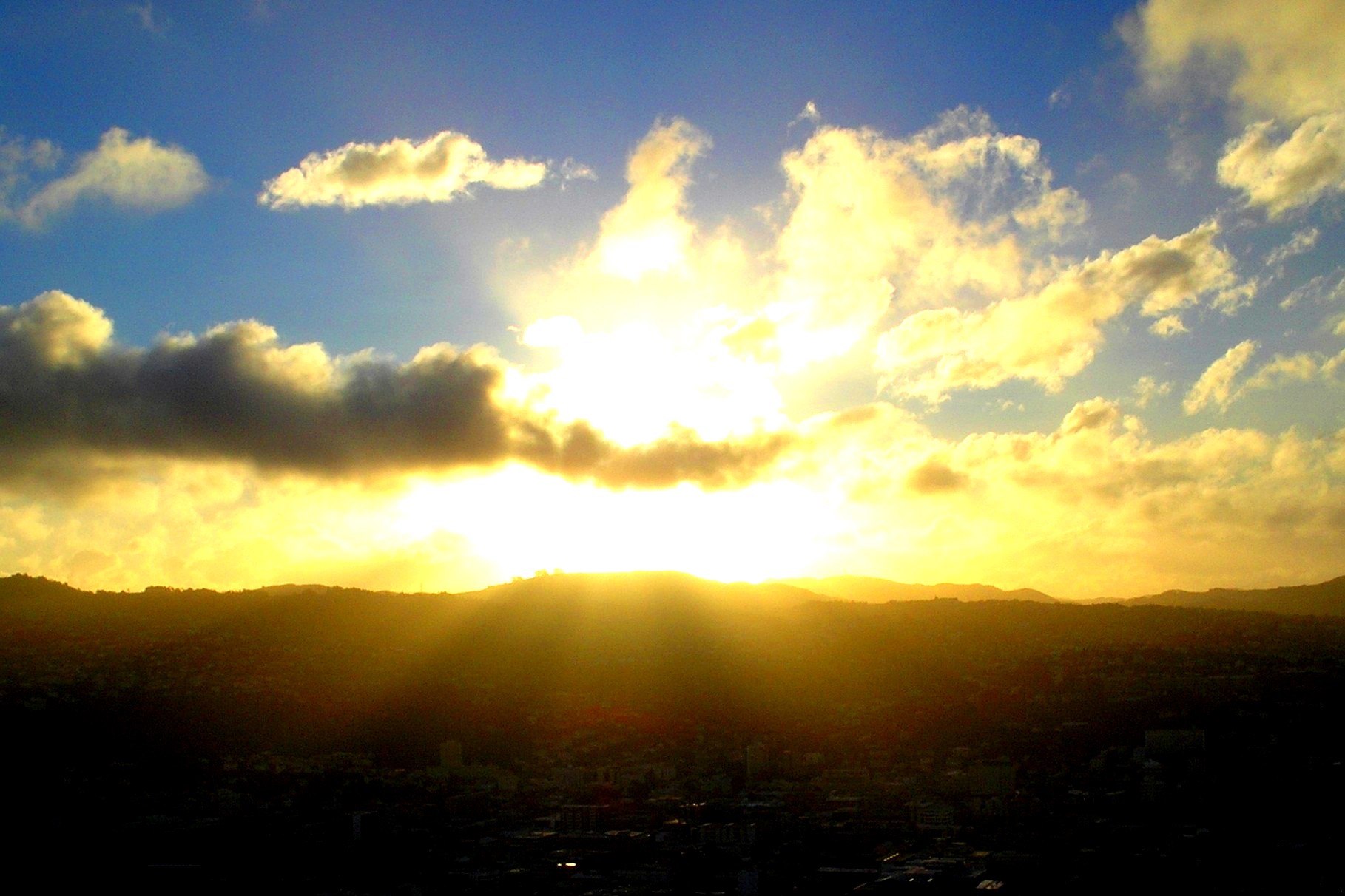 OLYMPUS DIGITAL CAMERA