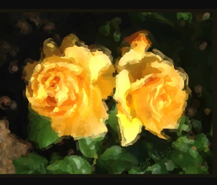 YellowRoses7